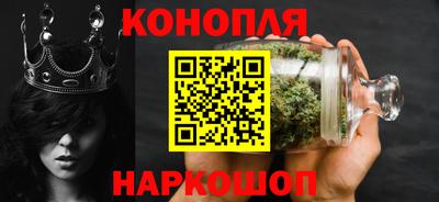 дмт Бердск
